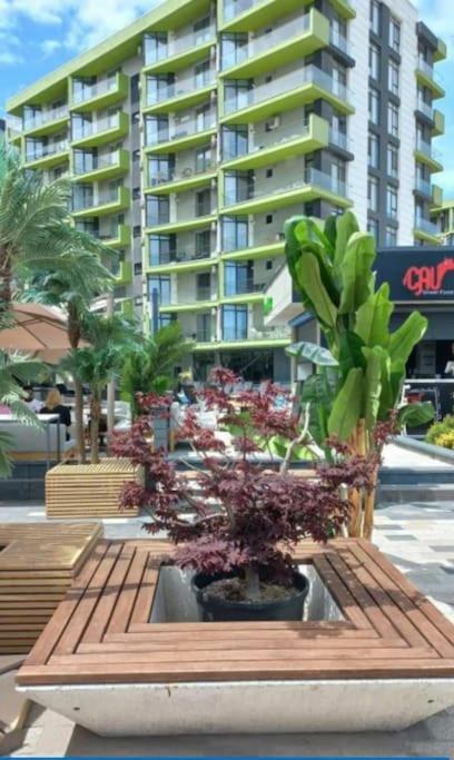 Alezzy Beach Apartament Prima Linie La Mare 那沃达利 外观 照片